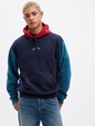 Gap Arch Logo Colorblock Hoodie