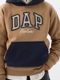 DAP x GAP Kids Colorblock Logo Hoodie