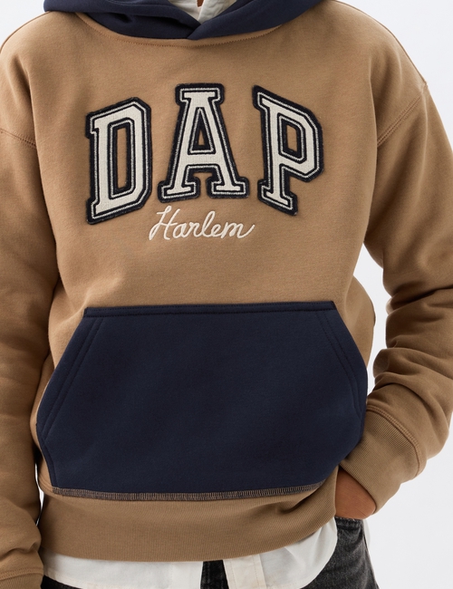 DAP x GAP Kids Colorblock Logo Hoodie