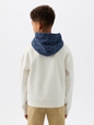 DAP x GAP Kids Colorblock Logo Hoodie