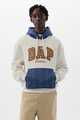 DAP x GAP Colorblock Logo Hoodie