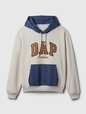 DAP x GAP Colorblock Logo Hoodie