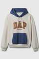 DAP x GAP Colorblock Logo Hoodie