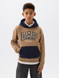 DAP x GAP Kids Colorblock Logo Hoodie