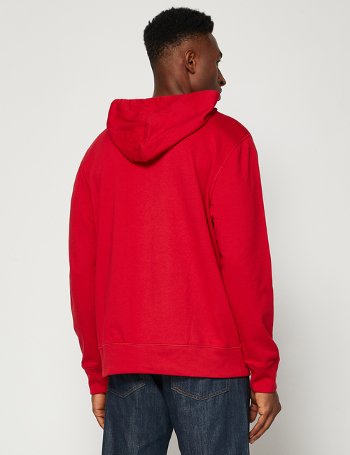 Gap Arch Logo Hoodie