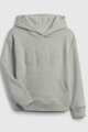 Kids Gap Arch Logo Hoodie