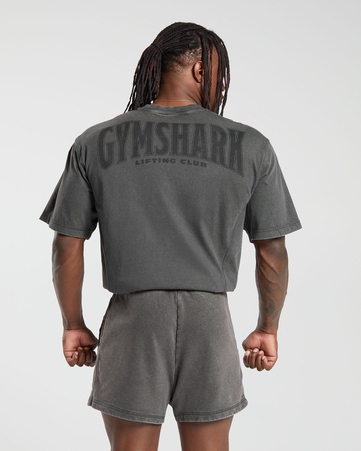 Heritage Heritage Washed T-Shirt Oversized Fit C&S:GREY:M, GREY, hi-res